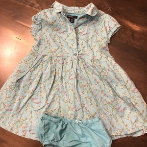 EUC baby gap Peter Pan collared dress